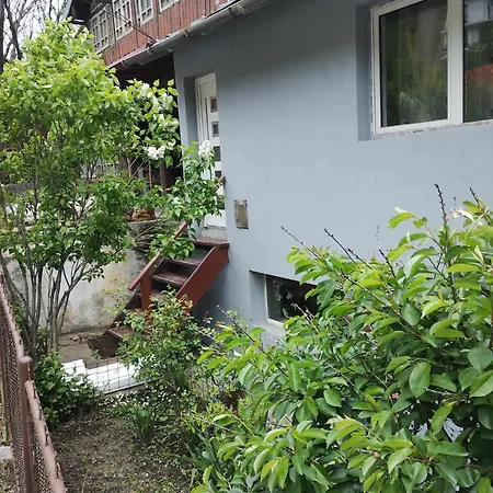 Alex88 Apartment Busteni Exterior photo