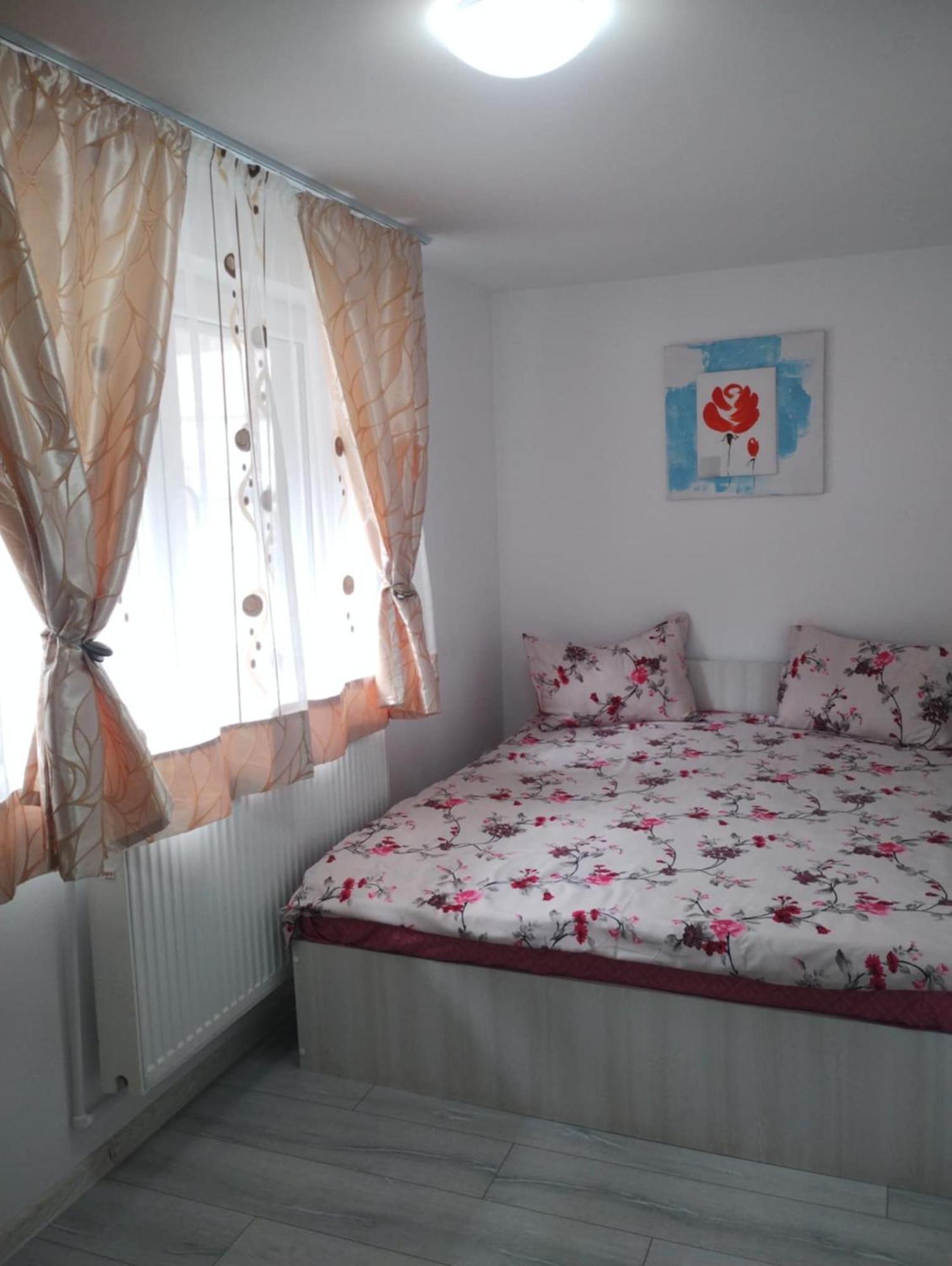 Alex88 * Buşteni